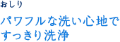パワフルな洗い心地ですっきり洗浄